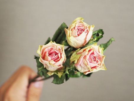 花屋が選別するドライフラワーにしやすい花しにくい花