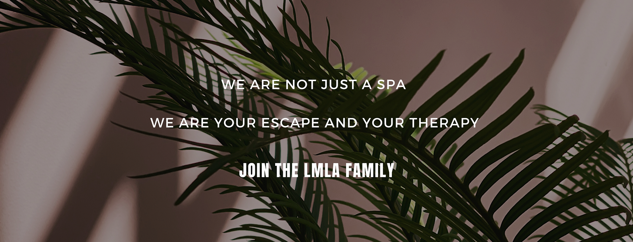 Blog Banner for Website Content (1).png