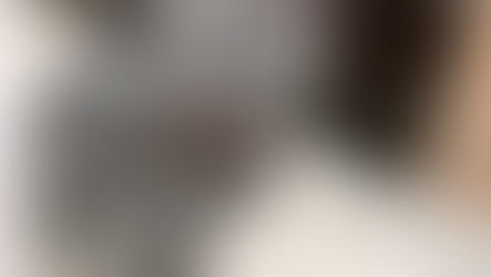 お家が決まりました♪　　　　　　　[0003]　ロシアンブルー　女の子