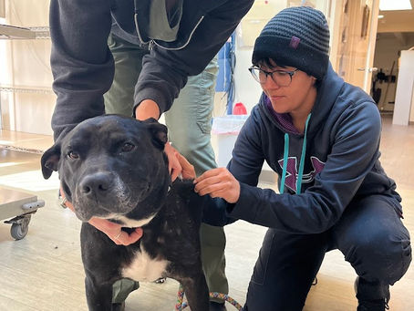 A Packaged Deal Second Chance!