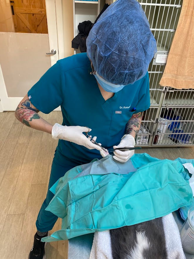 Brought In at the Right Time for the Right Foot!