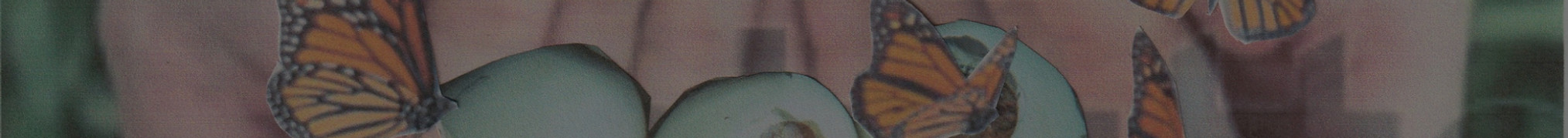 Domenic_Helena_Mixed Media_edited.jpg