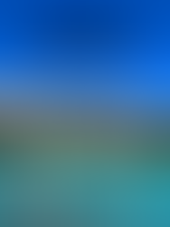 2 Days in Rocky Mountain National Park