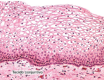 fig22-24_edited.jpg