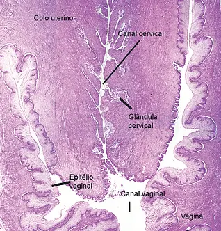 fig22-23.webp