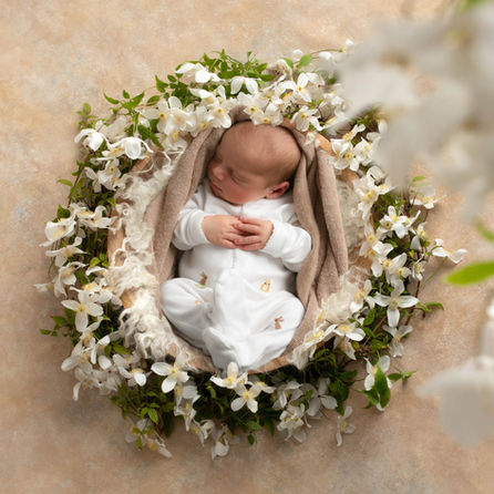 New born baby boy in a white baby grow sleeping in a basket surrounded by small white flowers on the vine.