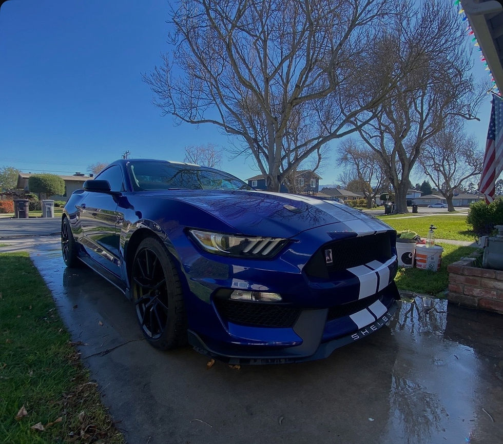 Mobile Car Detailing Shelby Mustang