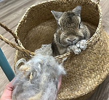 WhatsApp Image 2025-07-22 at 12.43.12 PM.jpeg