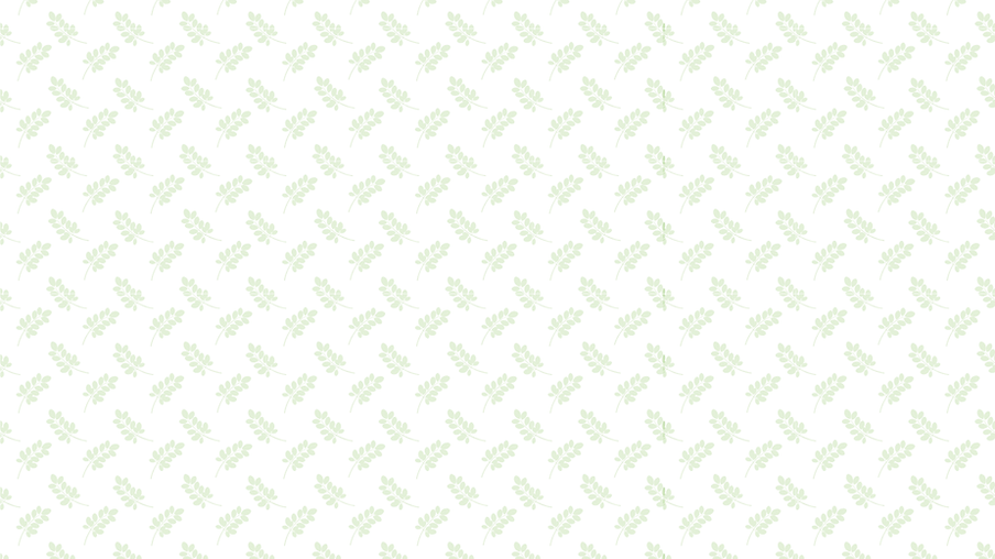 Moringa Sagrada- Website Cover (1).png