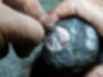 DSCN0929.jpg