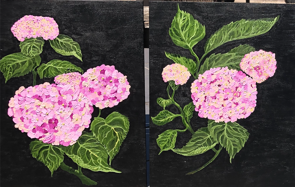 Thumbnail: Blush I - Pink Hydrangeas
