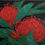 Thumbnail: Australian Waratahs