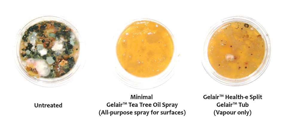 Thumbnail: Lavender Scent -  500ml Tea Tree Oil Tub for Bathrooms, Toilets, Wardrobe