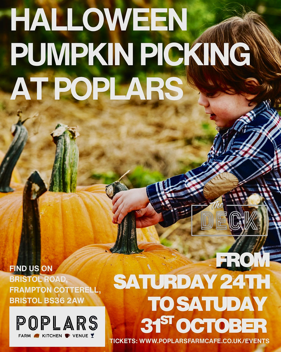 Halloween Pumpkin Picking at Poplars Farm