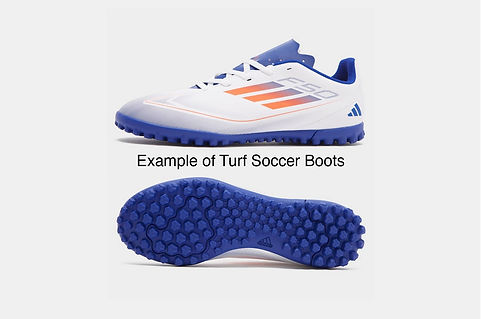 Turf Boots copy.jpg