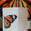 Thumbnail: Greeting Cards