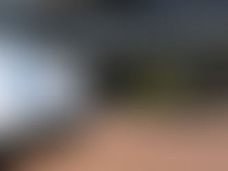 Springfield Discontinued the CultureFest due to Safety Reasons