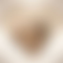 Why Animals Mirror Human Emotions and How Your Nervous System Shapes the Relationship With Your Animal