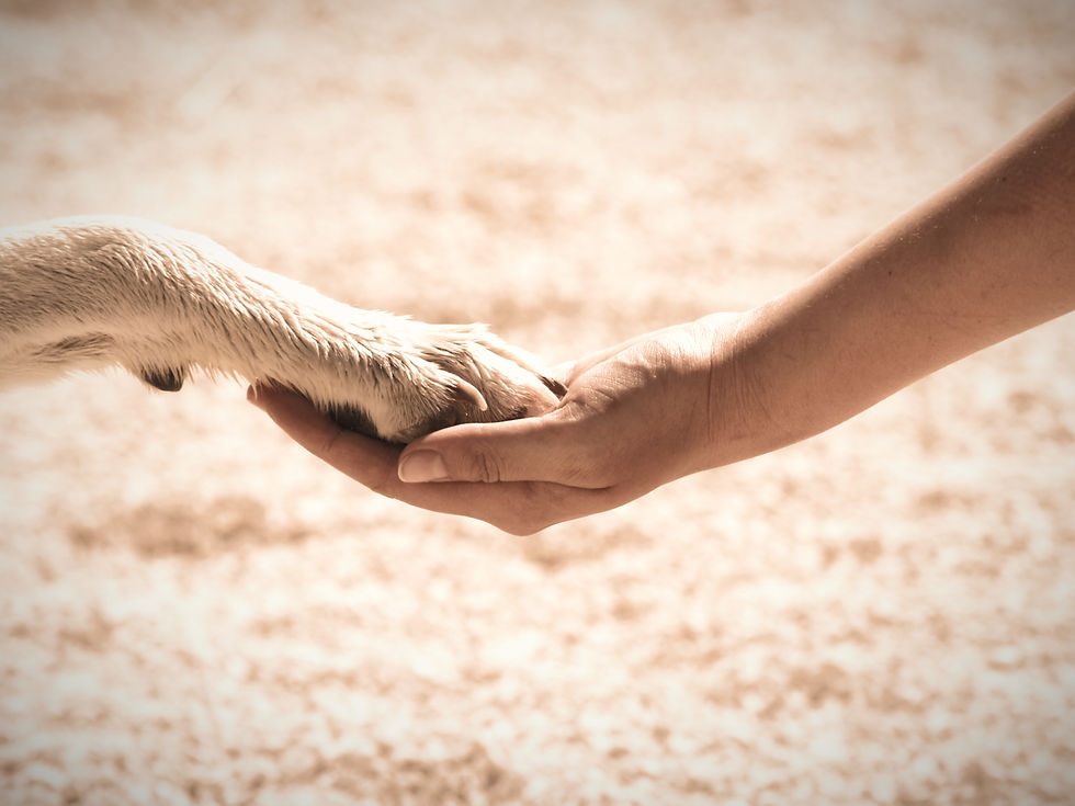 Healing for Pets and Their People, Together. Fabienne and Paula