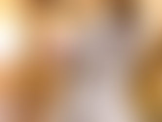 Dog Behaviour Explained Beyond Training