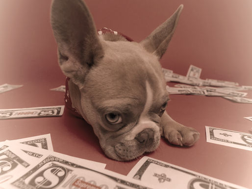 Dog with Money: let enough find you.