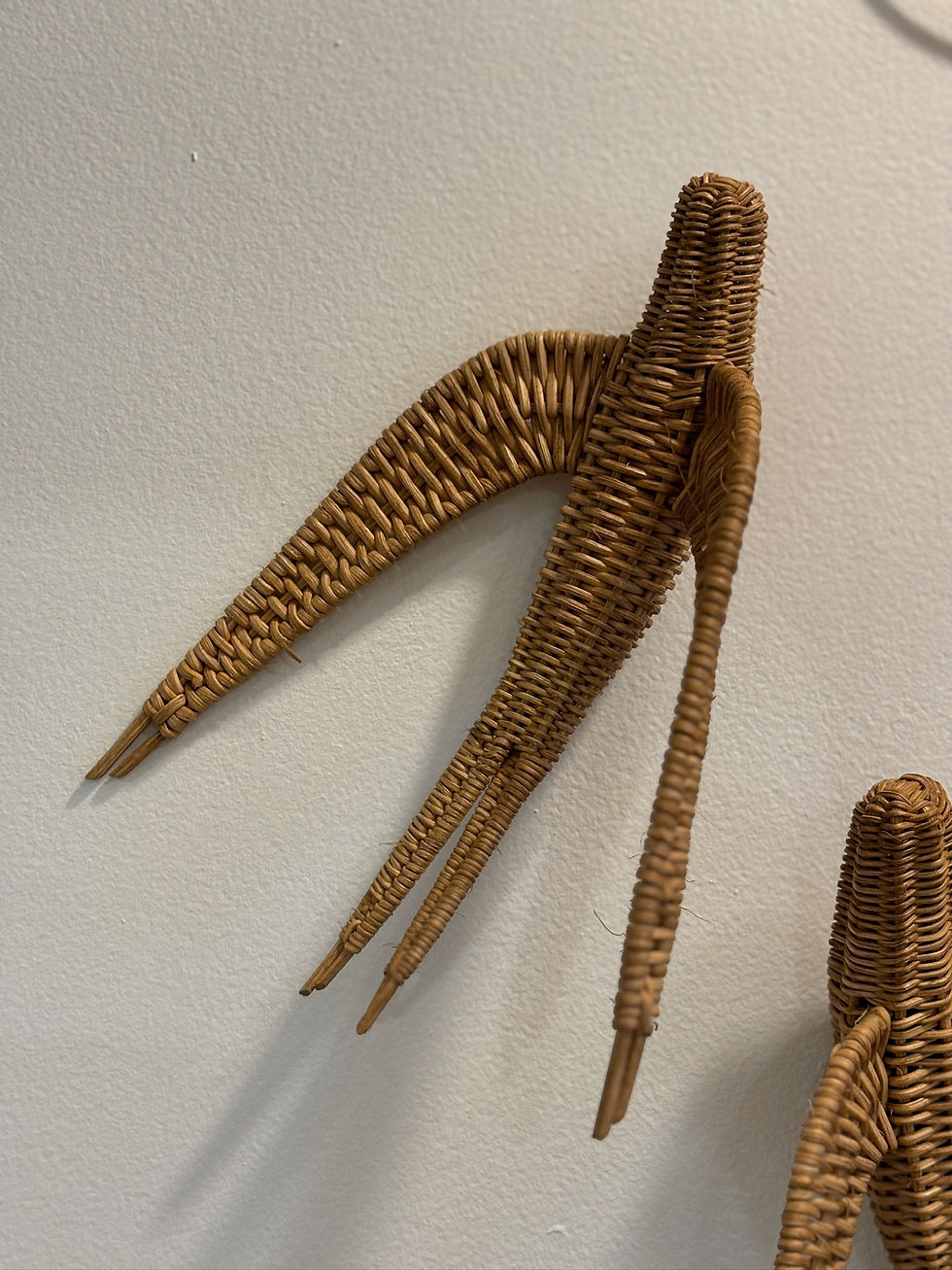 Miniature : Hirondelle en osier 🇫🇷🖐️