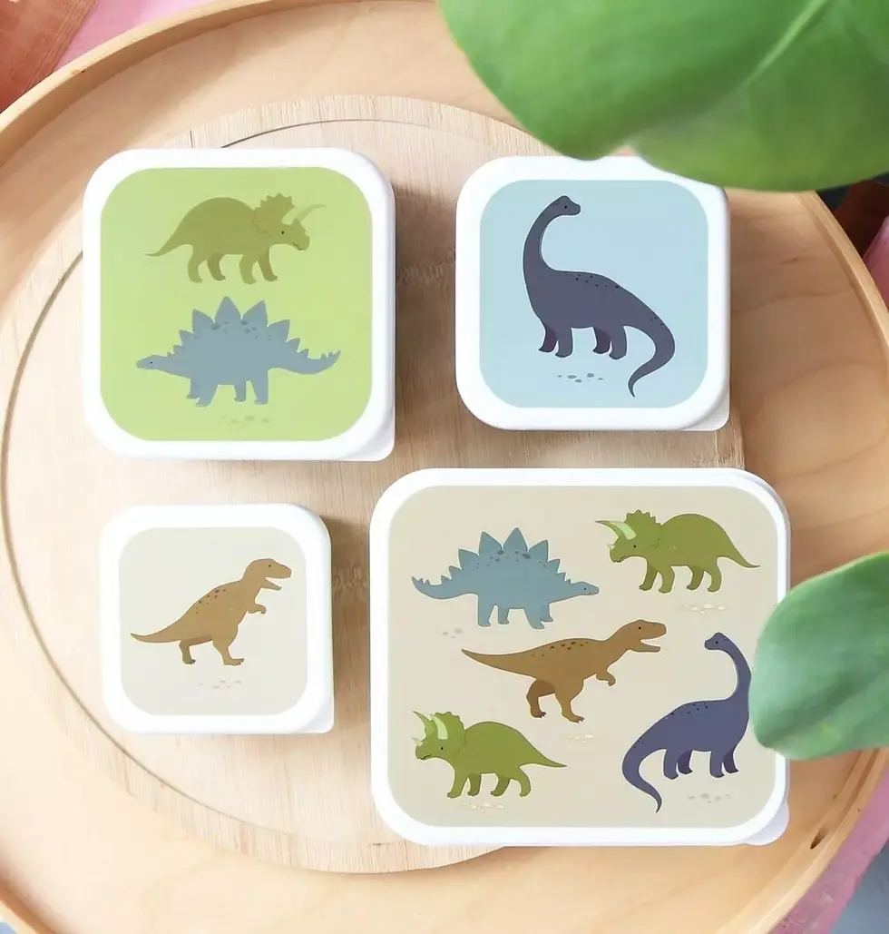 Miniature : Ensemble de 4 boites à collation « Dinosaures » 🦖🦕 