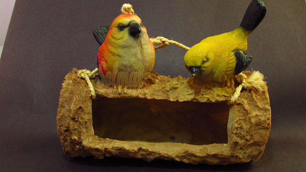 Miniatura: Macetas colgantes Aves