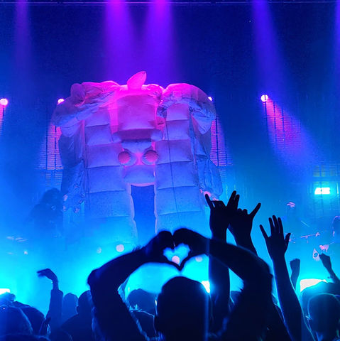 The Flaming Lips at The Sylvee, Madison