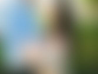 Wedding Coordination FAQs: What Bloomington Couples Really Want to Know