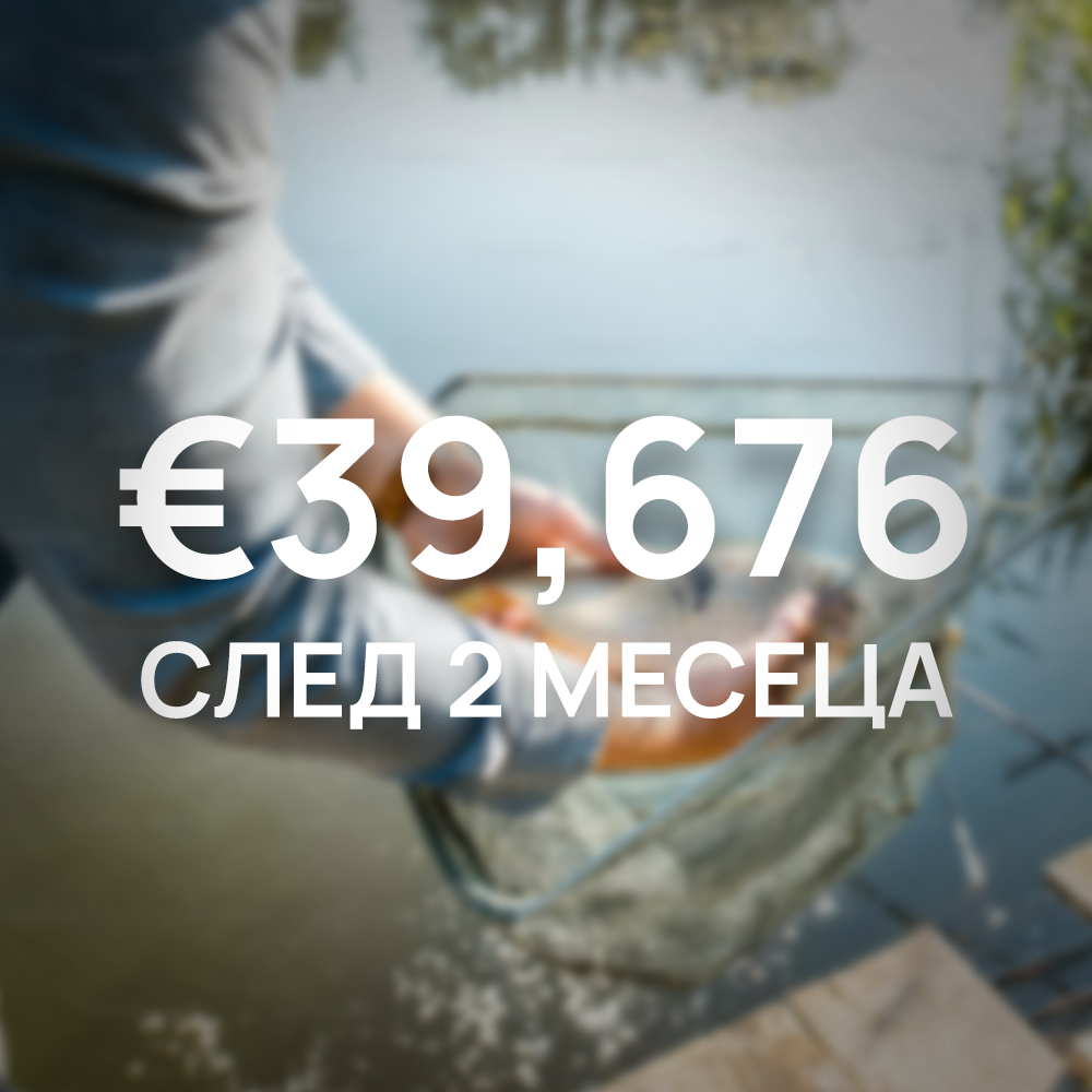 fish.png