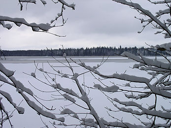 P1230018.JPG