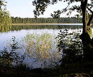 05- 025.jpg