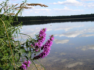 P8240003.JPG