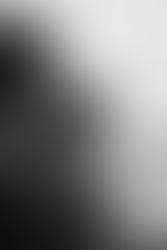 Professional Film and Video Production