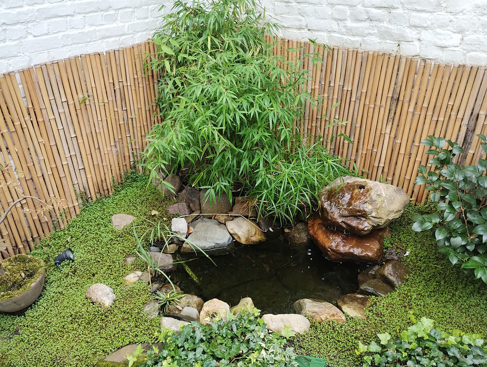 IMG_20230917_124951911