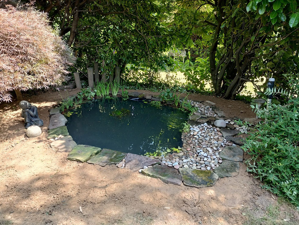 IMG_20230606_124334177_HDR