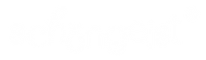 190326_schoengeist_logo_WHITE_01_edited.
