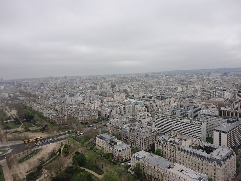 View of Paris from Eiffel Tower