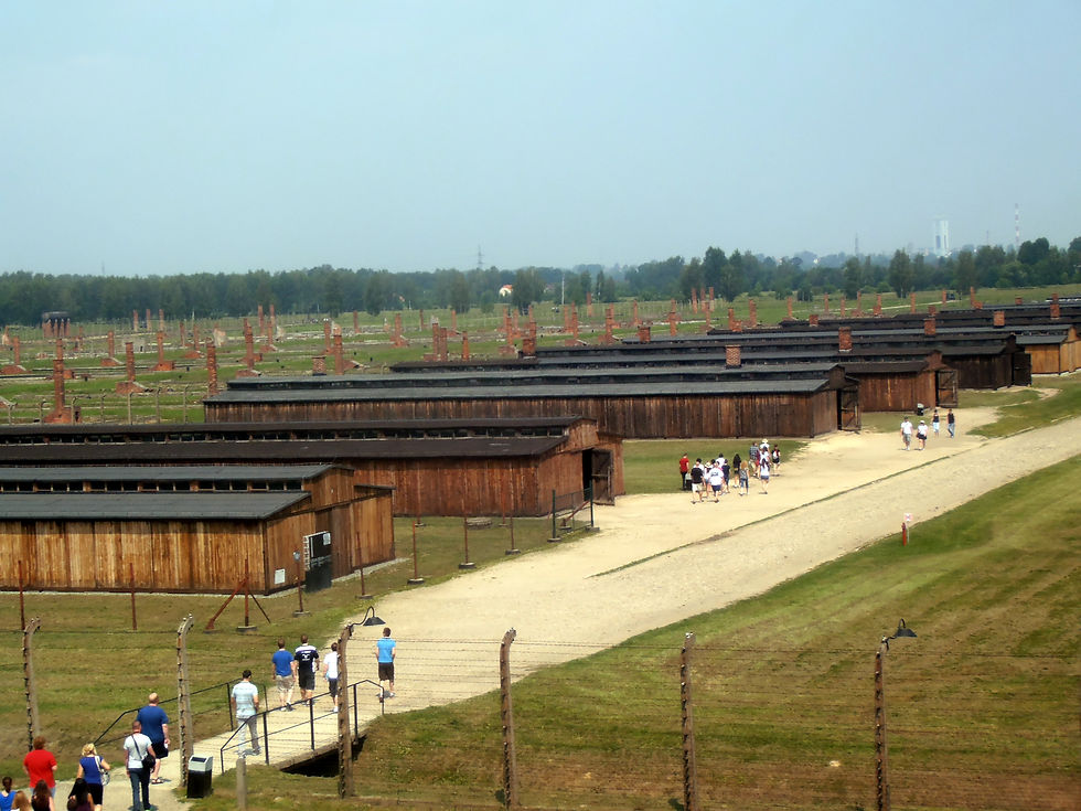 View of Birkenau from the Guard Tower