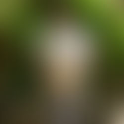 Our Agribusiness Startup-Fatim Gaye