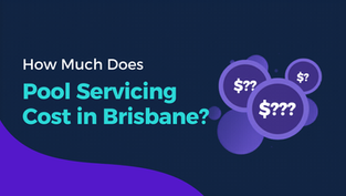 How Much Does Pool Servicing Cost In Brisbane