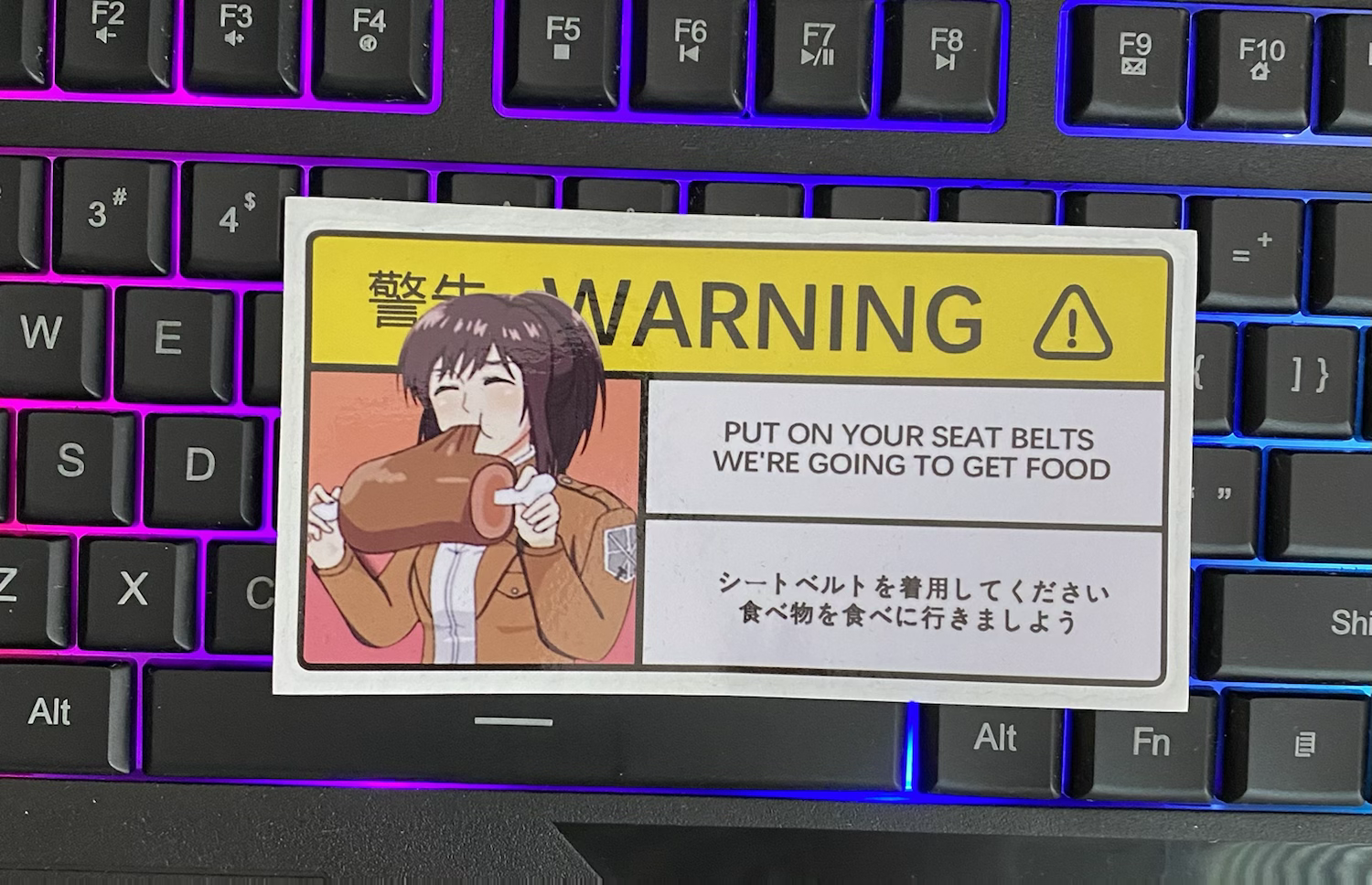 Mikasa Car Precautions Sticker