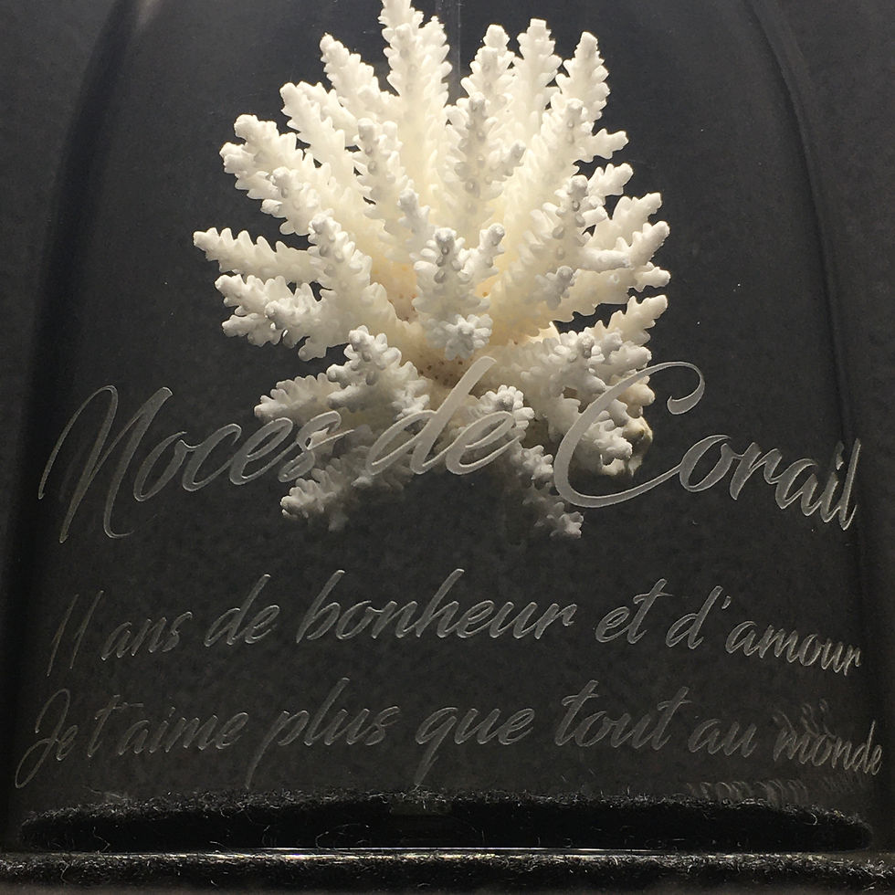 L'Effet Clochette Noces de Corail