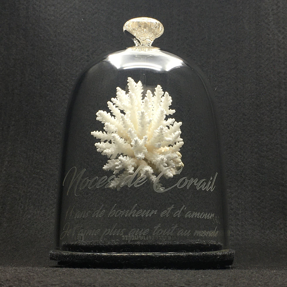 L'Effet Clochette Noces de Corail