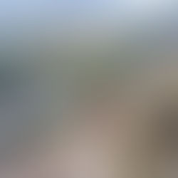 How to Train for a 50k Ultra Marathon