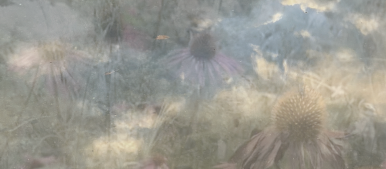 【NEWS】2nd Anniversary『Garden』EP