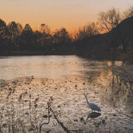 年末コンサートの大切なお知らせ