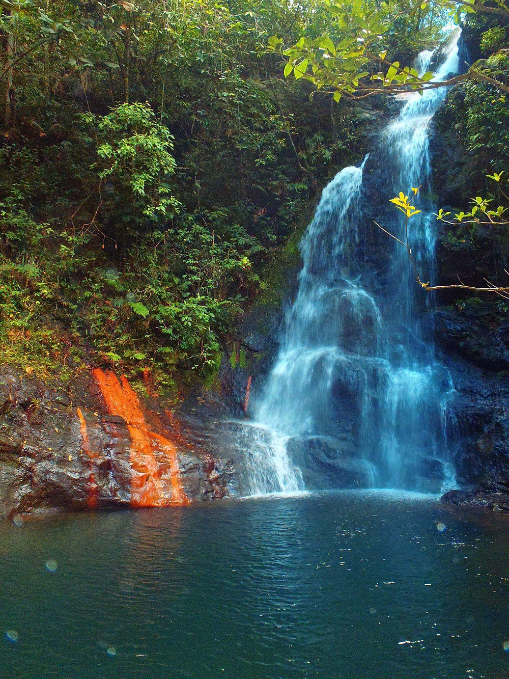 Tiger Fern Falls