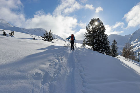 ski-g62c202855_1920.jpg